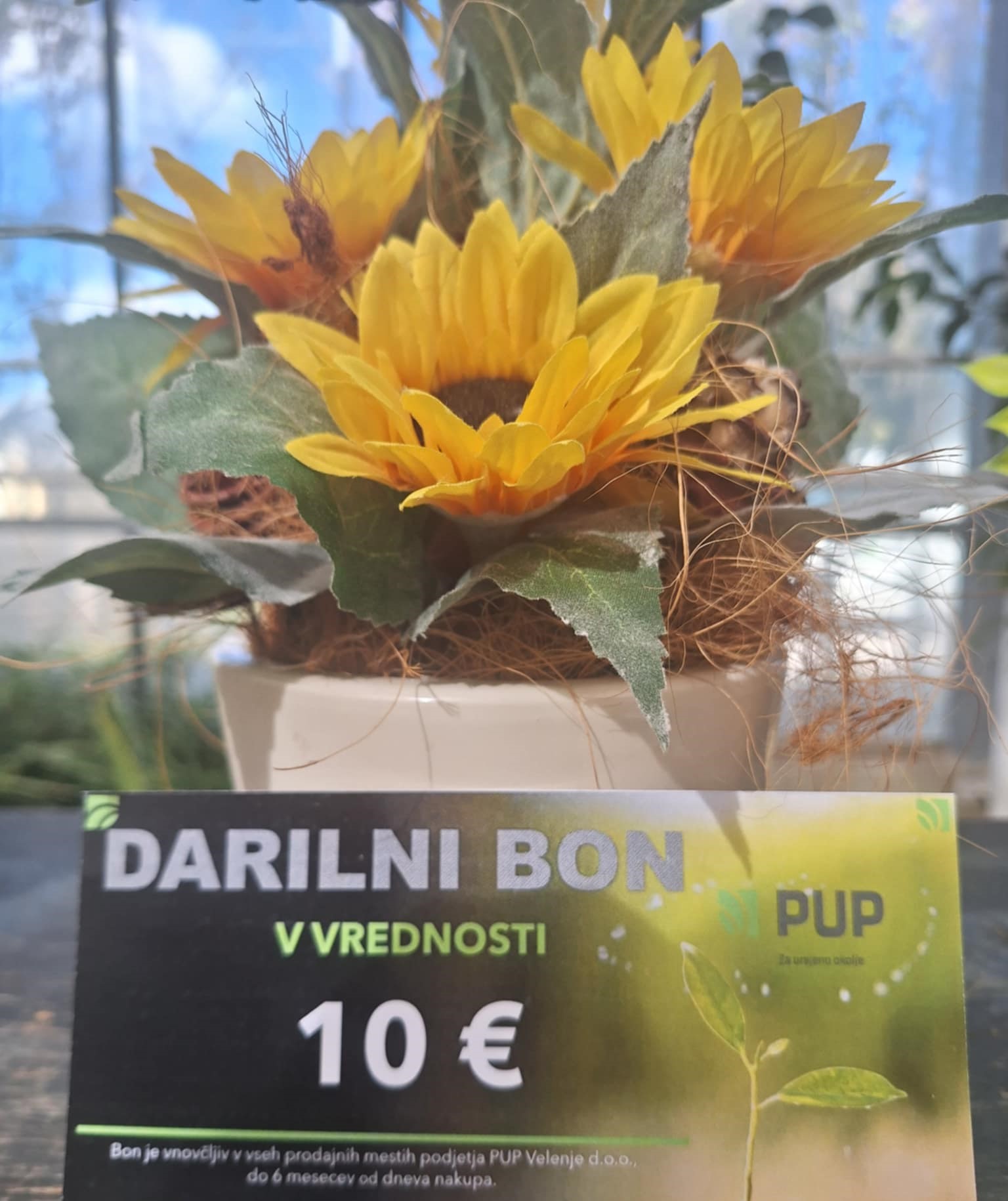 Darilni bon