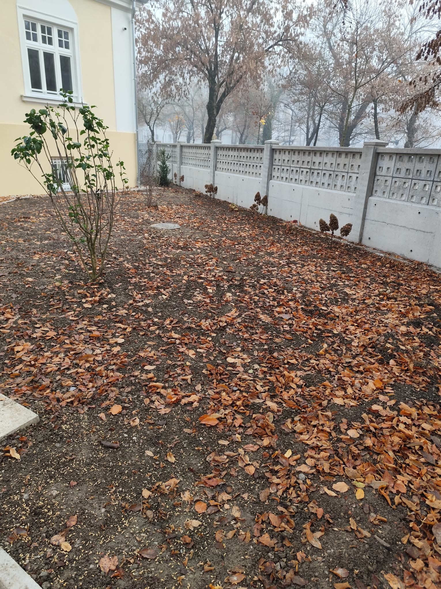 IMG 20251105 081715